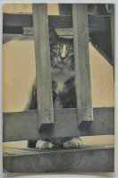 Masao%20Yamamoto%2C%20%3Cb%3E%3Ci%3E%20Untitled%20%28Portrait%20of%20Stieglitz%29%3C%2Fi%3E%3C%2Fb%3E%2C%202005%2C%20gelatin%20silver%20print%2C%20Gift%20of%20Steven%20Josefsberg%20and%20Susan%20Seubert%2C%20%26%23169%3B%20artist%20or%20other%20rights%20holder%2C%202008.28
